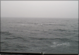 海 海